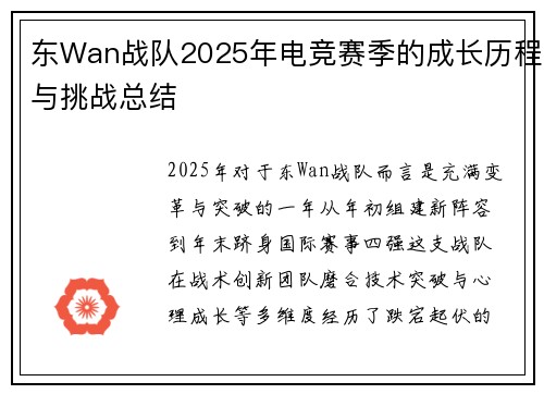 东Wan战队2025年电竞赛季的成长历程与挑战总结